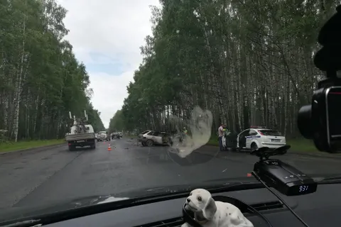 У Лесной поляны под Ярославлем в серьезном ДТП пострадали люди