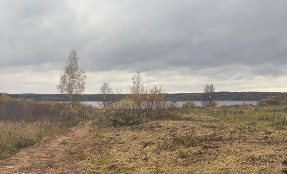 Ярославская прокуратура вернула государству деревенский водоем