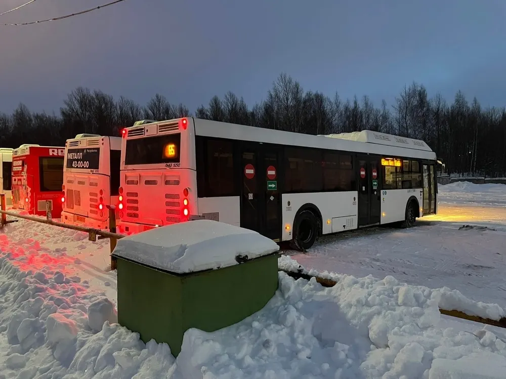 В Ярославле оштрафовали питерского перевозчика