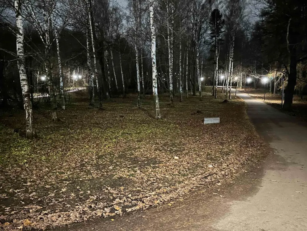 В Павловской роще Ярославля заработали фонари