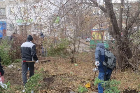 Во Фрунзенском районе Ярославля провели субботник