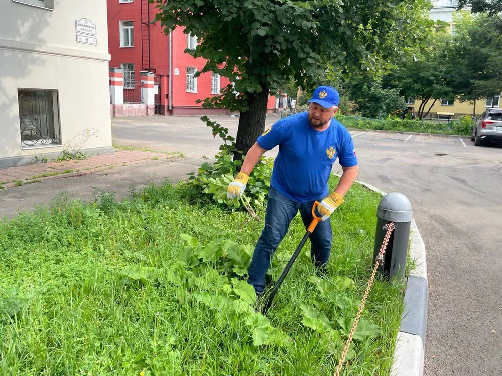 Детский омбудсмен объявил войну борщевику в центре Ярославля