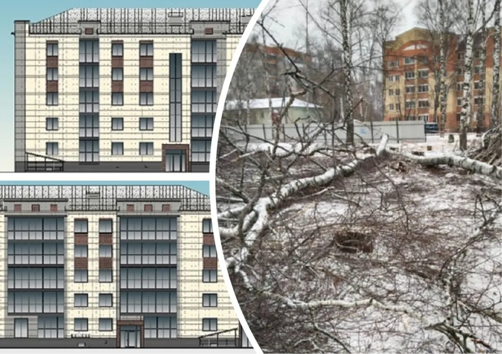 Стало известно, что построят на месте березовой рощи в Ярославле