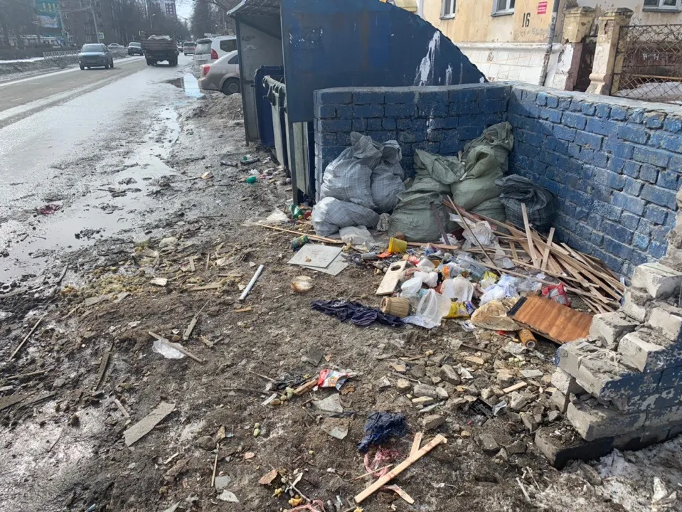 Мэрия Ярославля не справляется с уборкой мусорных площадок