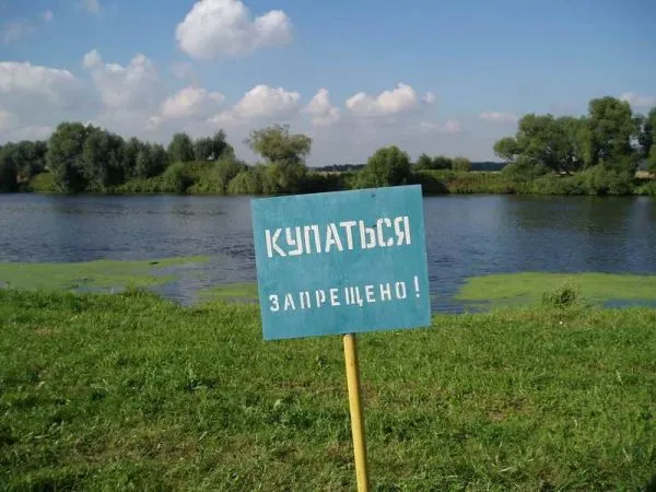 В поселке Некрасовское Ярославской области утонул мужчина