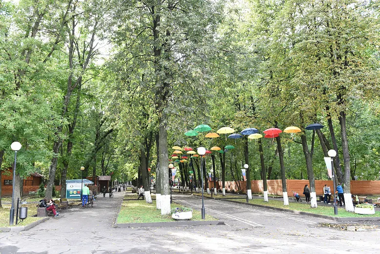 Мэрия Ярославля меняет руководителя городских парков