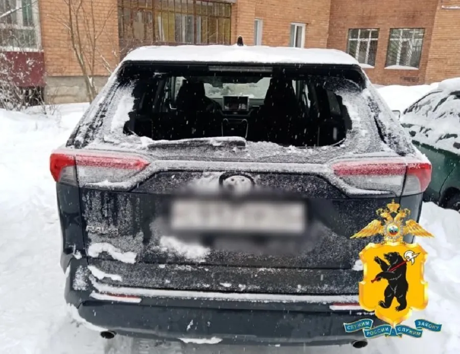 В Рыбинске задержали борца с пищащей автосигнализацией