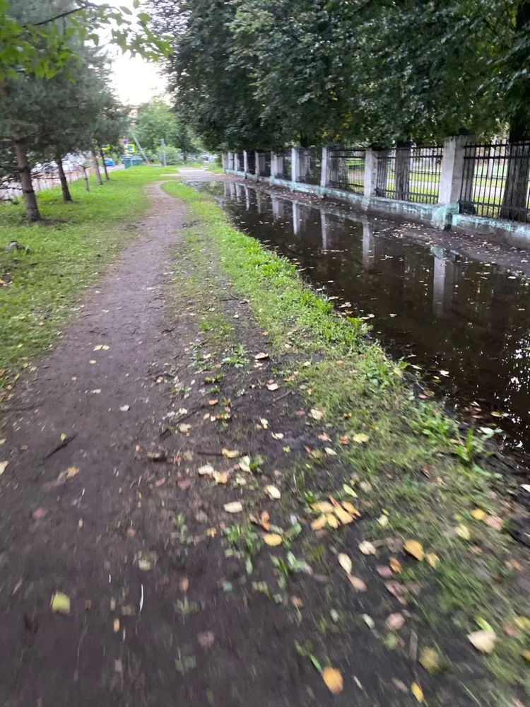 Ярославцы предлагают назвать лужу в честь известного человека