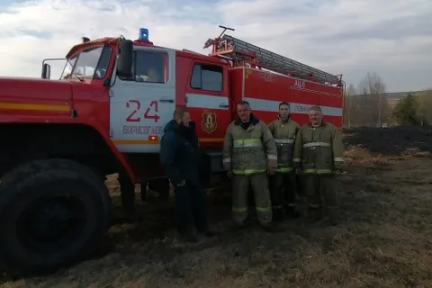 «Сколько зверья погибнет»: в Ярославской области продолжают жечь сухую траву