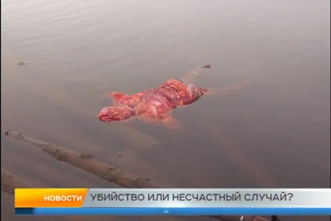 В Рыбинске следователи разбираются в причинах смерти троих погибших