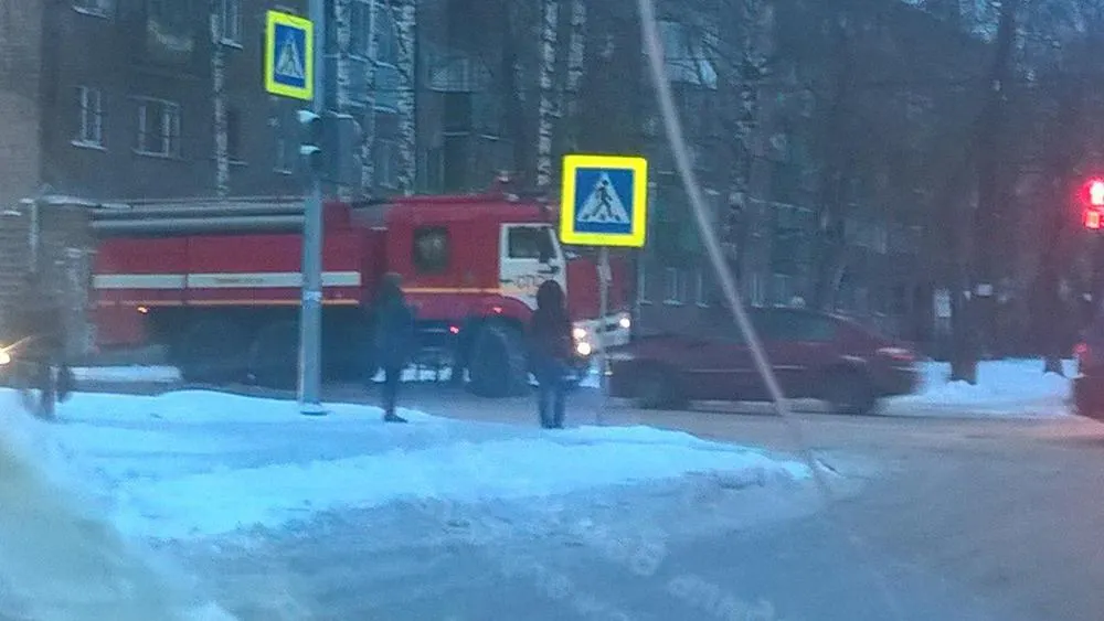 В страшном пожаре в центре Ярославля погибла собака