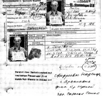 В Ярославле разыскивают родственников солдата, погибшего в годы Великой Отечественной