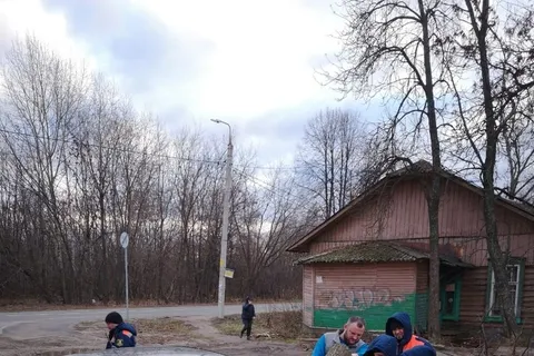 Власти просят ярославцев не оставлять транспорт под деревьями