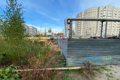 В застройке березовой рощи обнаружился след экс-мэра Ярославля Владимира Волкова