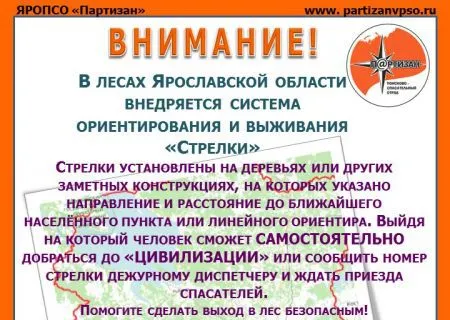 В лесах Ярославской области установят знаки для потерявшихся грибников