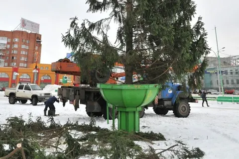 В Ярославле установили главную ель. Фоторепортаж