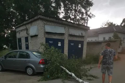 В Ярославле ураганный ветер повалил несколько деревьев: фото