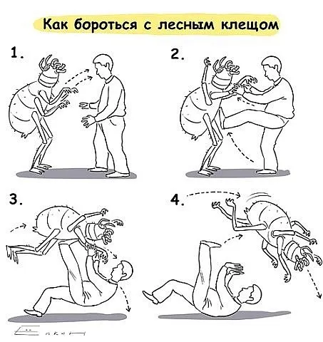 В Ярославской области растет агрессия клещей