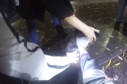 Ярославские спасатели помогли провалившейся в люк собаке
