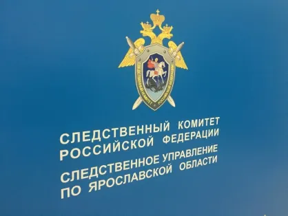 В Ярославской области шестилетнего мальчика накрыла ледяная глыба с крыши