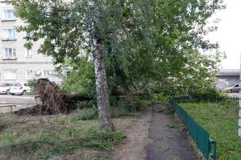 Проспект Машиностроителей в Ярославле завалило поваленными ураганом деревьями