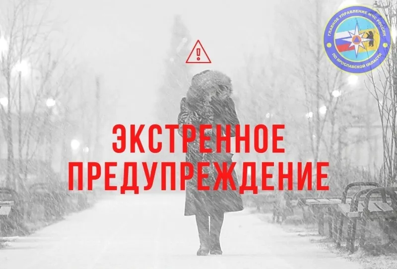 Ярославское МЧС выпустило экстренное предупреждение о снегопаде