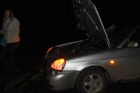В Ярославской области Лада «Приора» сбила лося