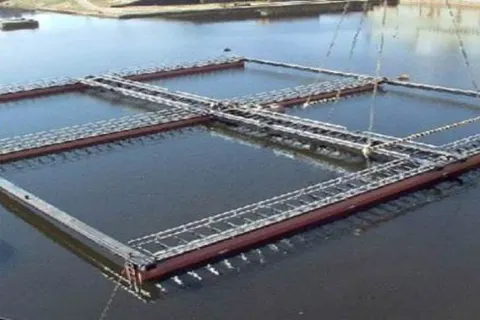 В Ярославской области будут разводить красную рыбу