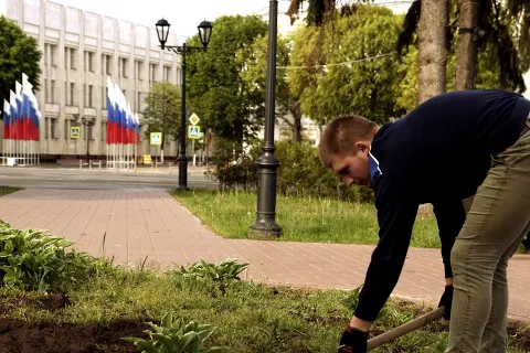 В Ярославле жители вместо мэрии высадили цветы на центральной клумбе
