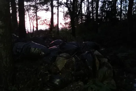 В Ярославской области в дубовой роще устроили огромную свалку: видео