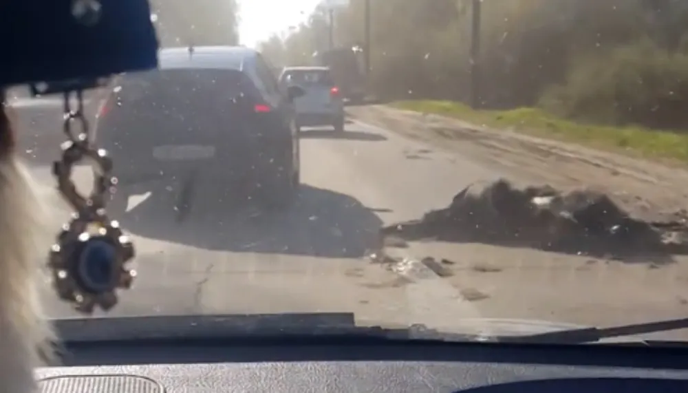 В Рыбинске автобус с людьми врезался в лося