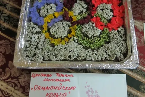 В Дзержинском районе Ярославля прошел праздник «Волшебный мир цветов»