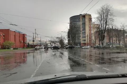 В Ярославле ураган повалил деревья: затруднено движение на проспекте Ленина