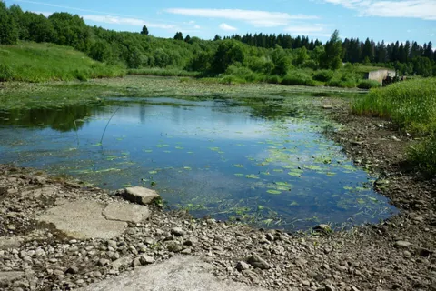 Жители Переславля встревожены экологической катастрофой на реке Нерль