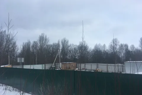 В Ярославле отменено разрешение на стройку рядом с Павловской рощей