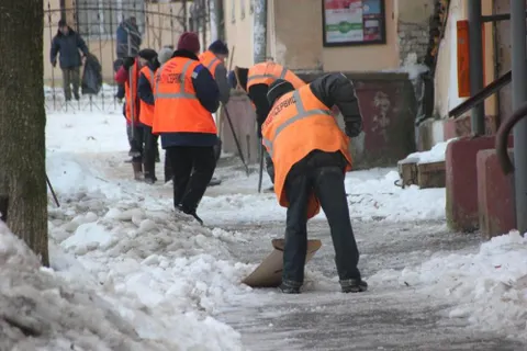Уборка в Ярославле: штрафы будут удвоены, лицензии отозваны