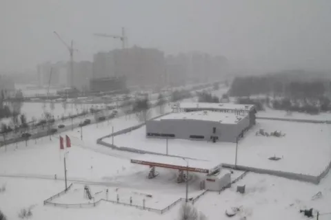 В Ярославле начался снегопад