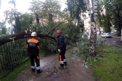 В Ярославле спасатели ликвидируют последствия ураганного ветра