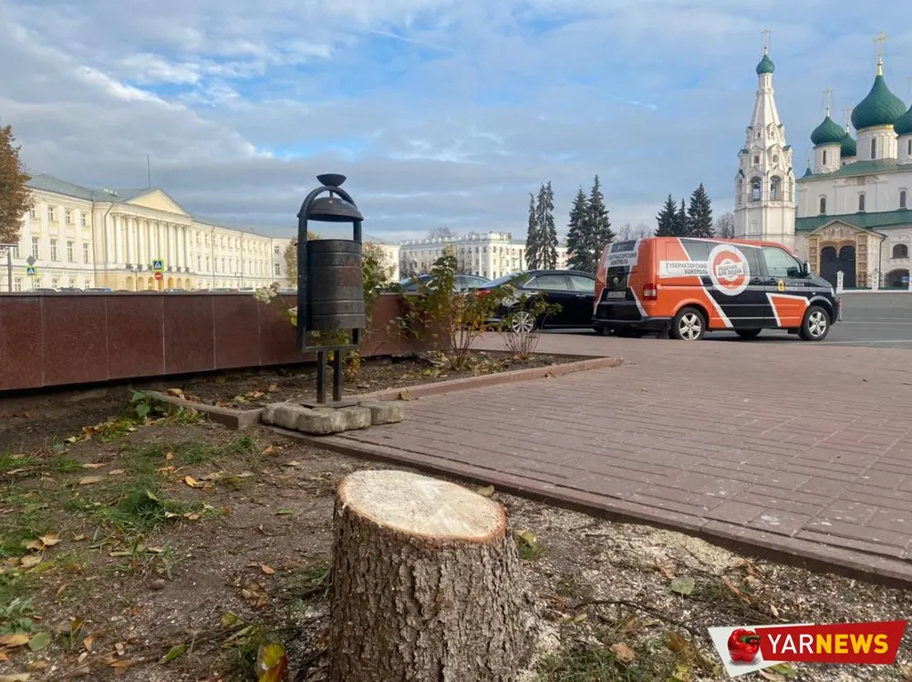 В Ярославле пилят ели возле здания областного правительства