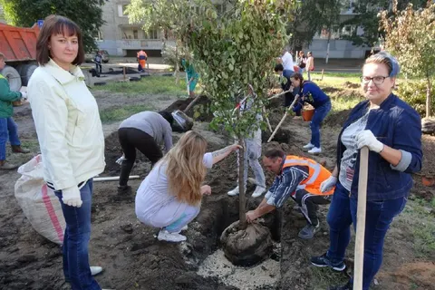 Более 9 тысяч ярославцев вышли на всероссийский экологический субботник