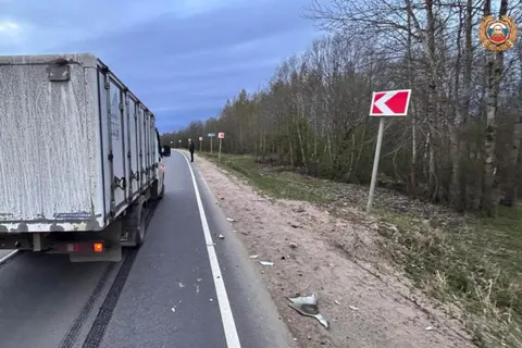 В Ярославской области в ночном ДТП погиб пешеход