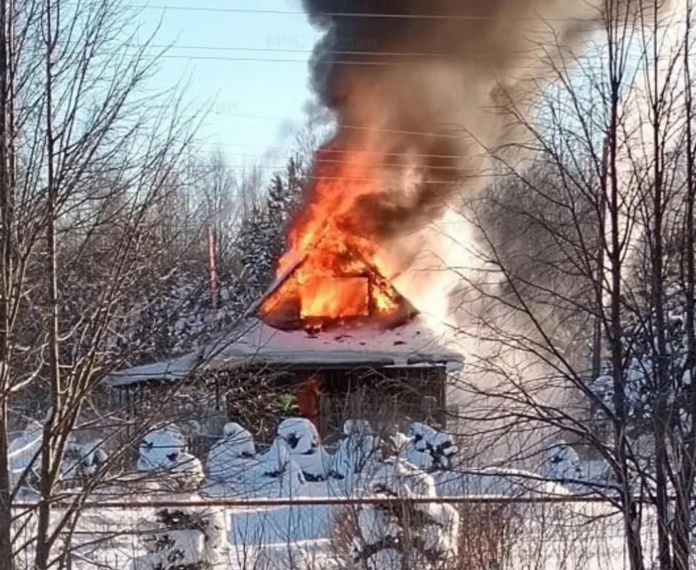 В деревенском доме сгорел ярославец 