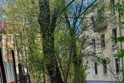 Ярославцы просят вернуть дорогу к двум школам и диспансеру