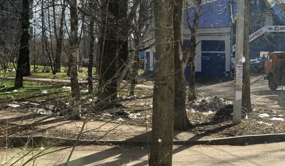 Ярославских дворников попросили помочь в борьбе с кошко-крысами