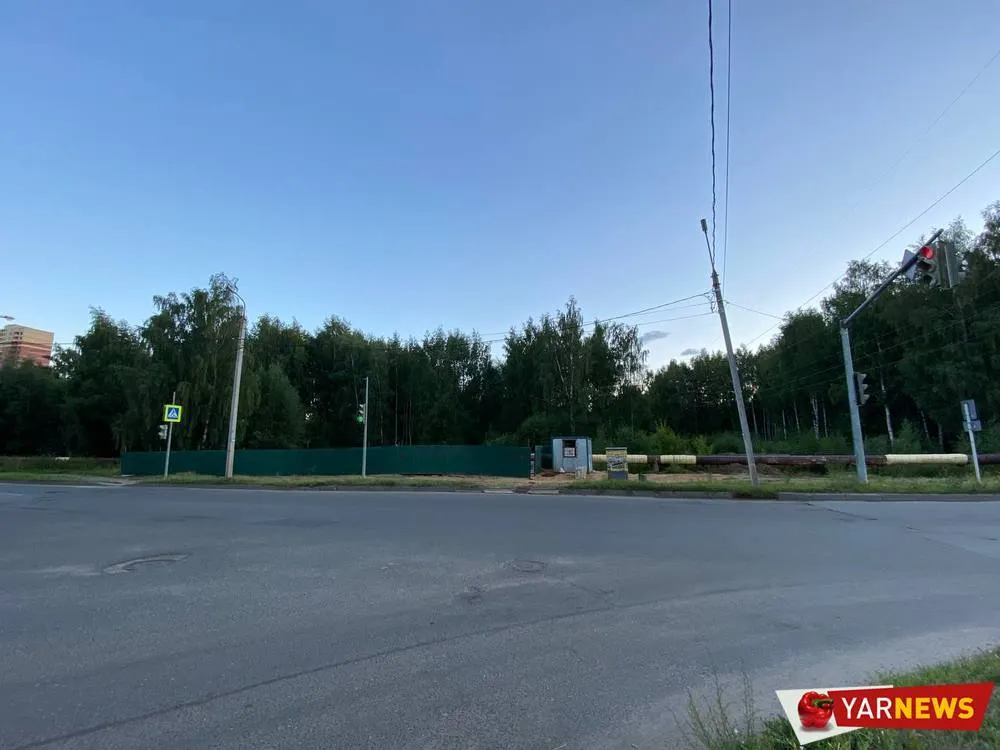 Депутат раскрыла схему продажи березовой рощи чиновниками мэрии Ярославля