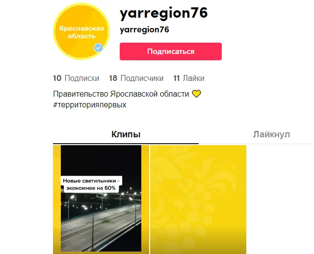 Правительство Ярославской области пришло в TikTok