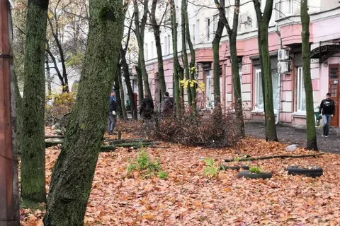 В Ярославле для организации парковки вырубили клены
