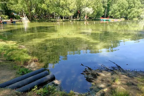 «Превращается в болото»: ярославцы просят почистить водоем в парке «Нефтяник»