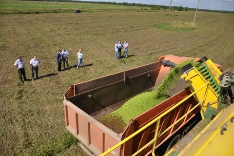 Урожай в Ярославской области ожидается на уровне прошлого года