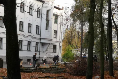 В Ярославле для организации парковки вырубили клены